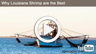 Authentic Louisiana Shrimp Stew: A Family Favorite with Gulf Shrimp Benefits