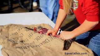 Louisiana Fur & Wildlife Festival: Cameron s Annual Outdoor Tradition Since 1955