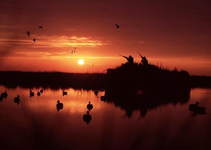 Duck Hunting in Southwest Louisiana: Family Traditions and Expert Calling Tips