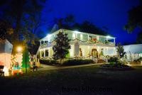 Experience Cajun Christmas Magic: Top Holiday Events in Southwest Louisiana