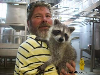 Discover Bayou Rum: A Tour of Louisiana Spirits, the State s Only Rum Distillery