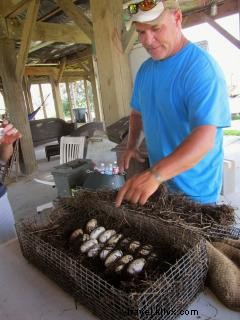 Discovering Alligator Eggs: A Hands-On Airboat Adventure in Louisiana Marshes