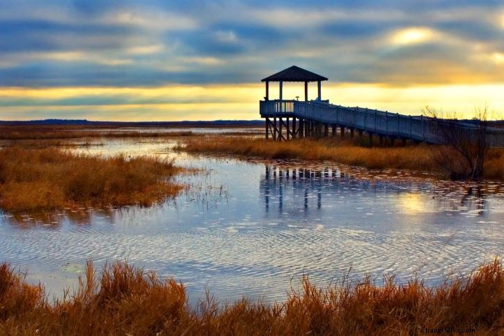 15 Fascinating Facts About Lake Charles, Louisiana: Charm, Casinos, and Culture