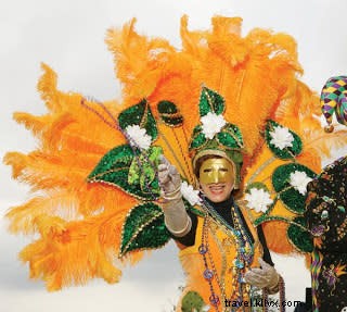 Experience Southwest Louisiana Mardi Gras: Parades, Traditions, and Family Fun