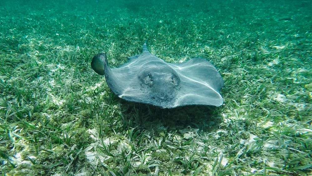 20 Most Stunning Places to Visit in Belize: Reefs, Ruins, and Pristine Beaches