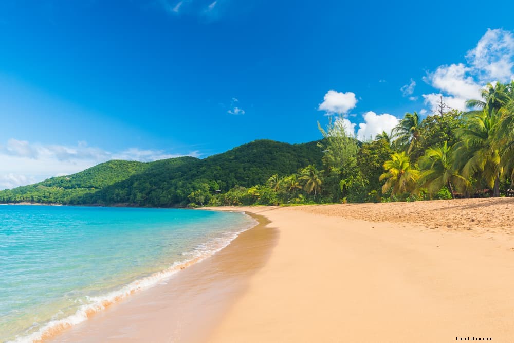 17 Most Stunning Places to Visit in Guadeloupe: Beaches, Volcanoes & Natural Wonders