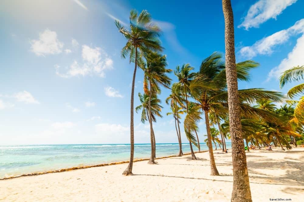 17 Most Stunning Places to Visit in Guadeloupe: Beaches, Volcanoes & Natural Wonders