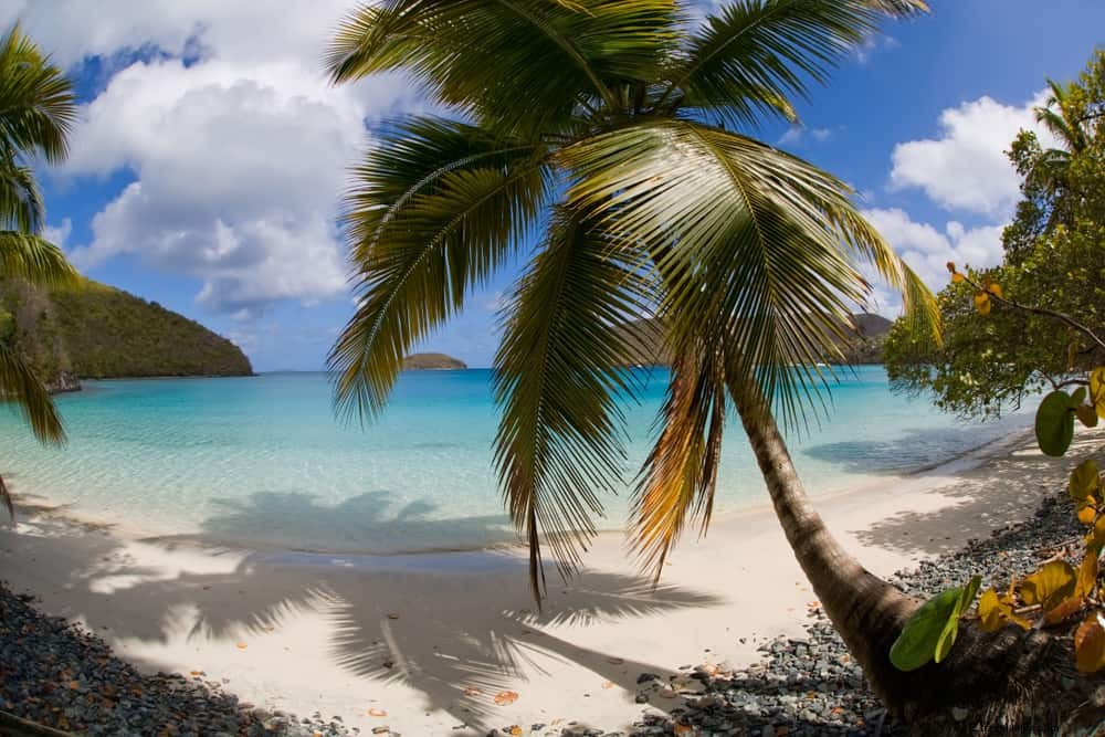15 Most Stunning Places to Visit in the US Virgin Islands: Beaches, Trails & Hidden Gems