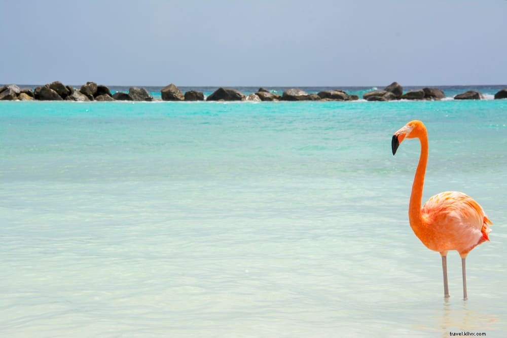 16 Most Beautiful Places to Visit in Aruba: The Happy Island s Top Attractions