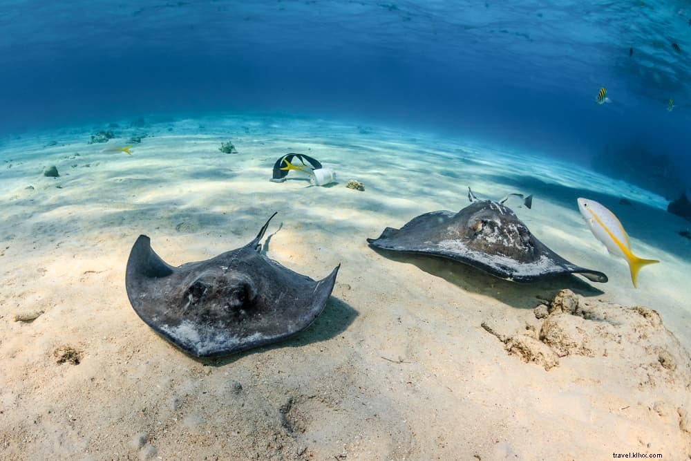 15 Stunning Places to Visit in Turks and Caicos