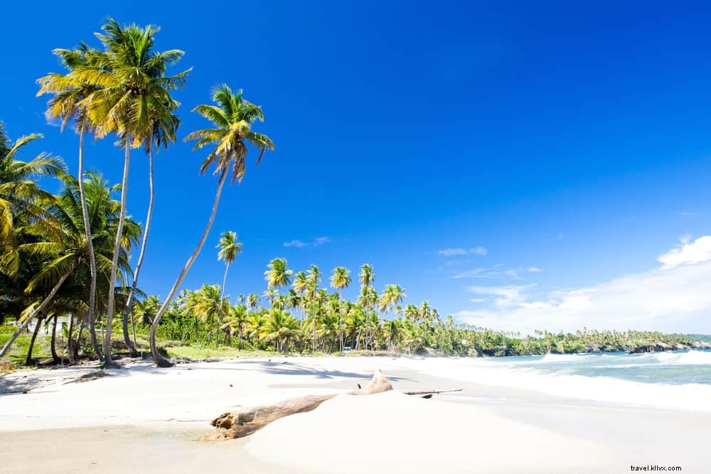 Discover 15 Stunning Places to Visit in Trinidad and Tobago