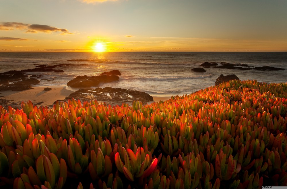 25 Best Places to Visit in the USA in June: Top Summer Destinations