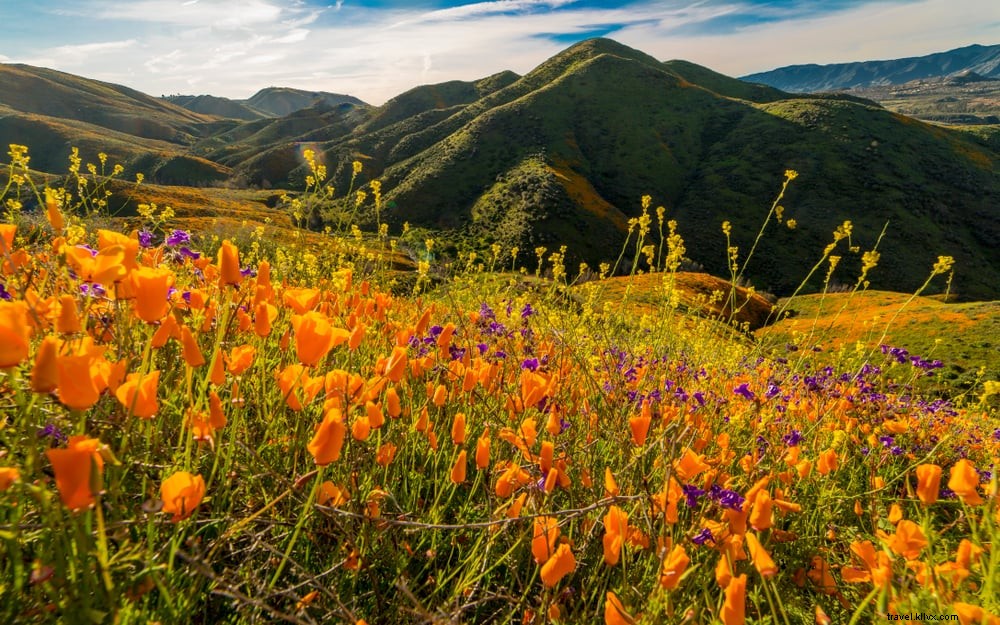 20 Best Places to Visit in the USA in March: Top Spring Destinations for 2024