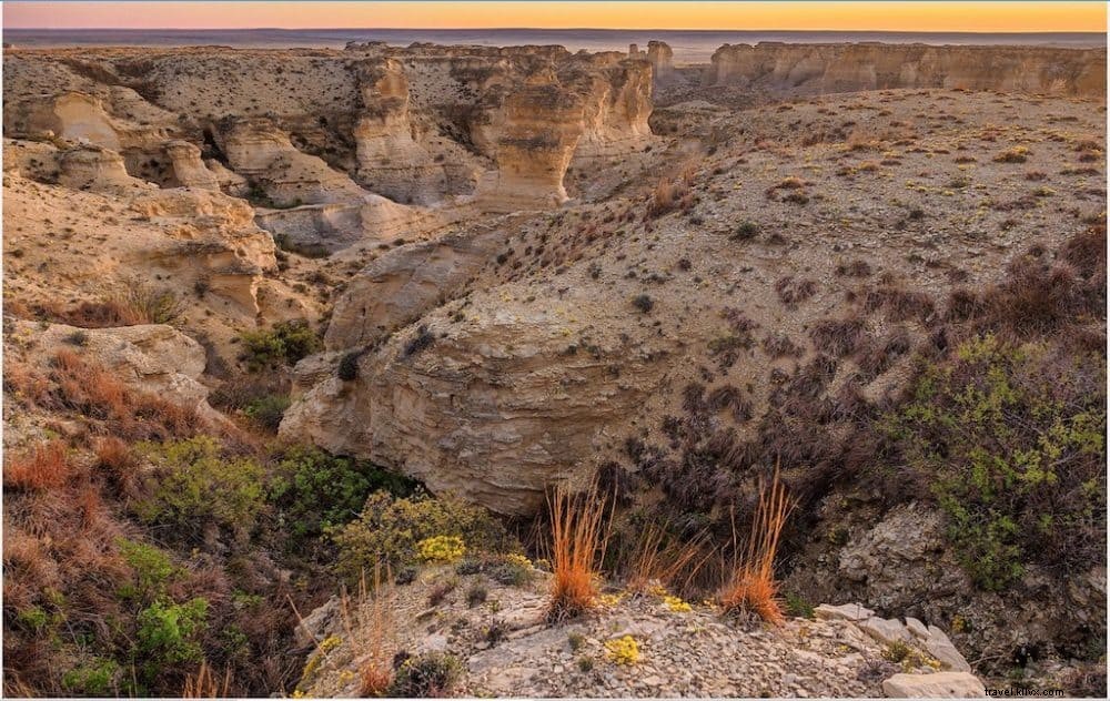 20 Best Places to Visit in the USA in March: Top Spring Destinations for 2024