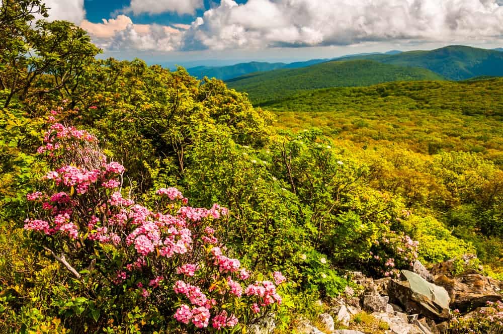 25 Best Places to Visit in the USA in May: Top Spring Destinations