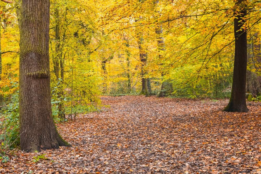 15 Best Places to Visit in Liverpool and Merseyside: Ultimate Guide