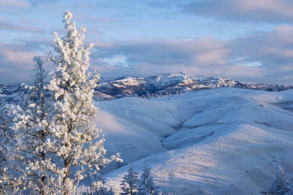 20 Best Places to Visit in the USA in January