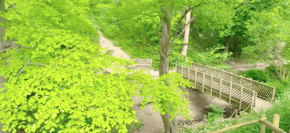 Top 15 Places to Visit in Tyne and Wear: Beaches, Parks, and Historic Gems