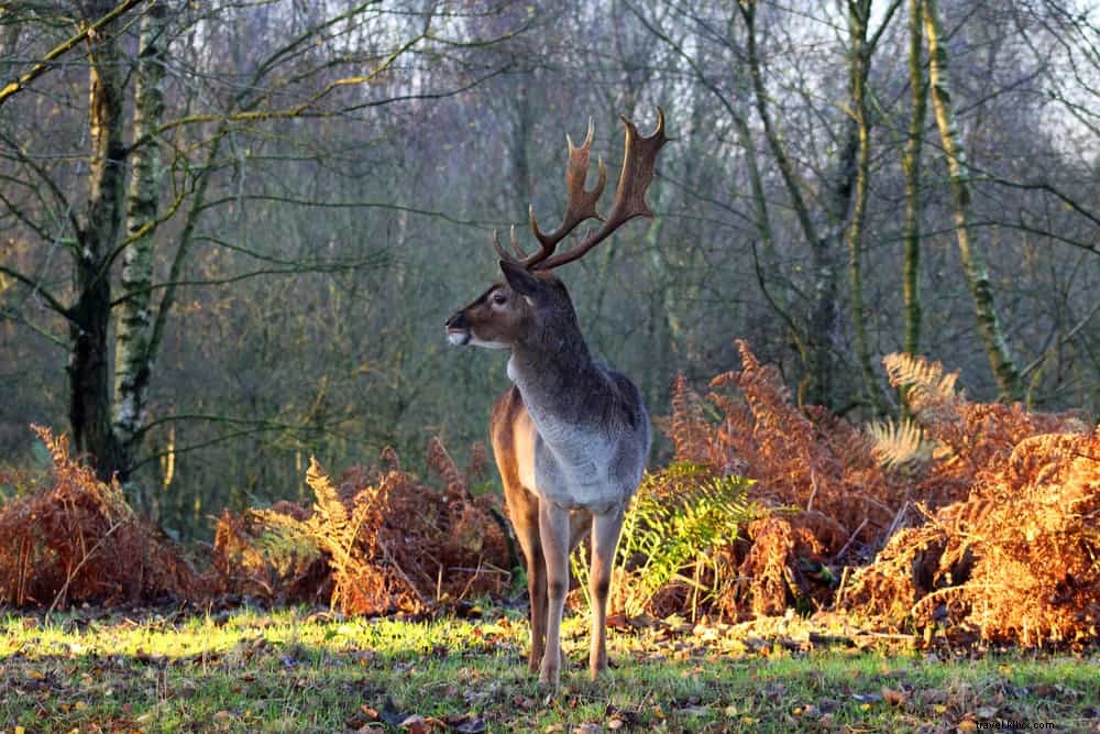 Discover 15 Stunning Places to Visit in Staffordshire: Hidden Gems and Historic Wonders
