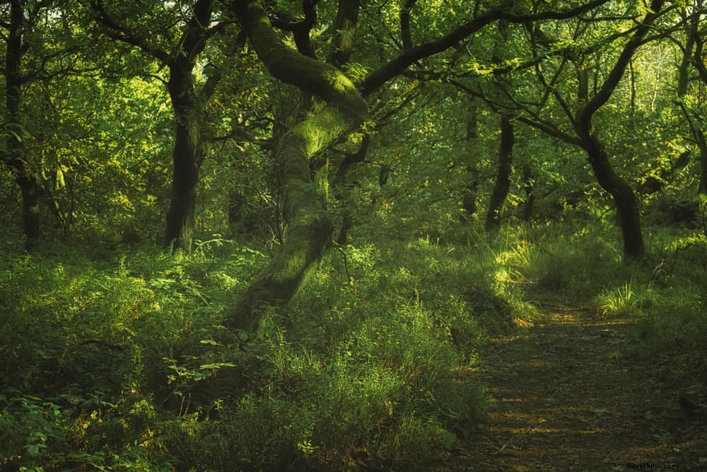 Discover 15 Stunning Places to Visit in Staffordshire: Hidden Gems and Historic Wonders