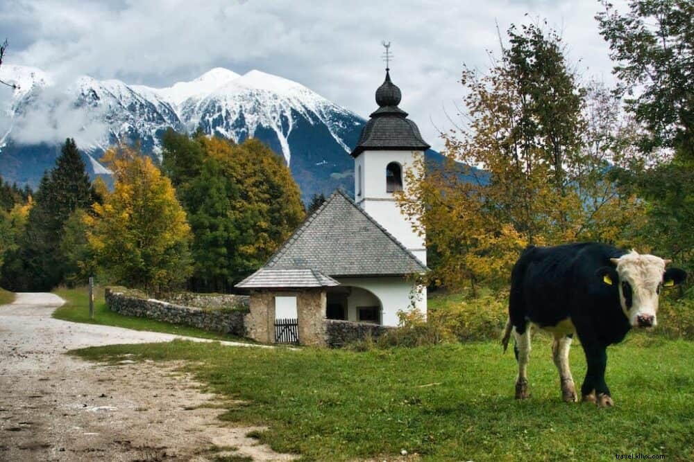 12 Stunning Places to Visit in Slovenia: Must-Sees for Every Traveler