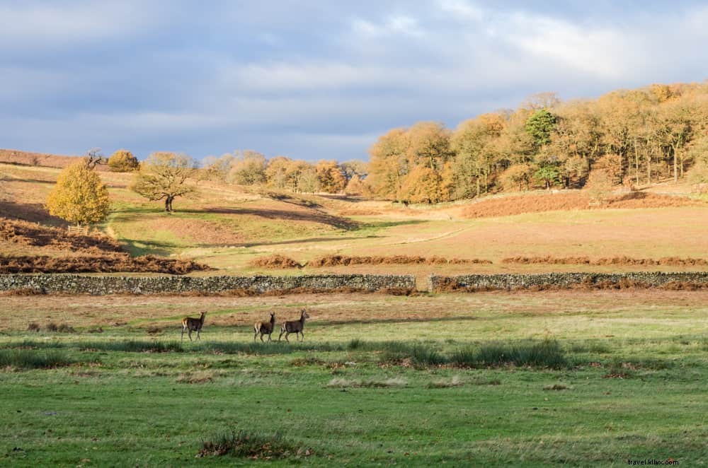 15 Stunning Places to Visit in Leicestershire: Historic Gems and Scenic Wonders