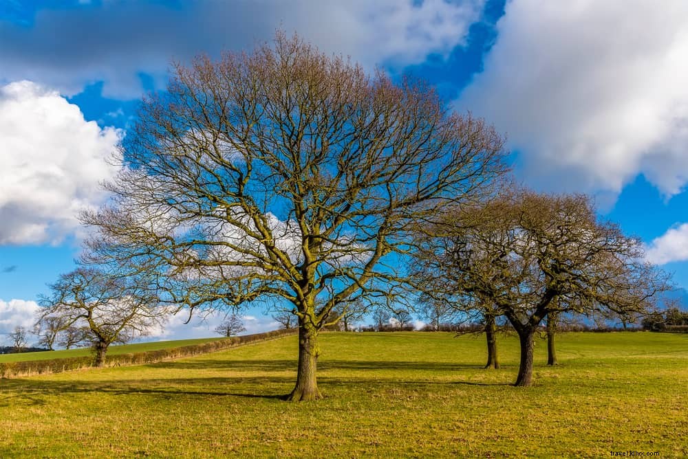 15 Stunning Places to Visit in Leicestershire: Historic Gems and Scenic Wonders