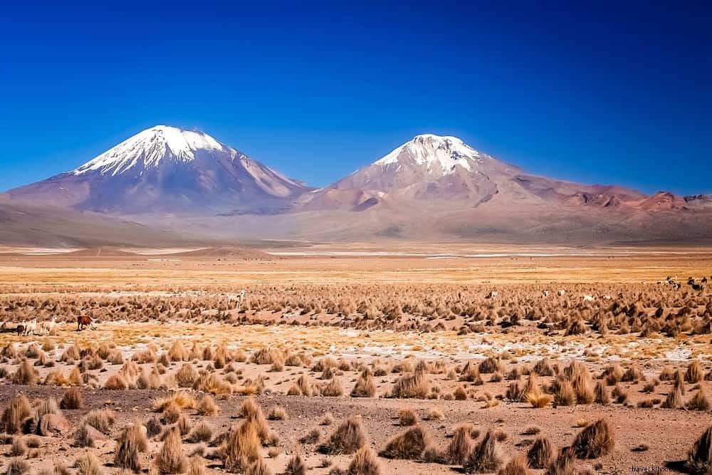 16 Most Stunning Places to Visit in Bolivia: An Insider s Travel Guide