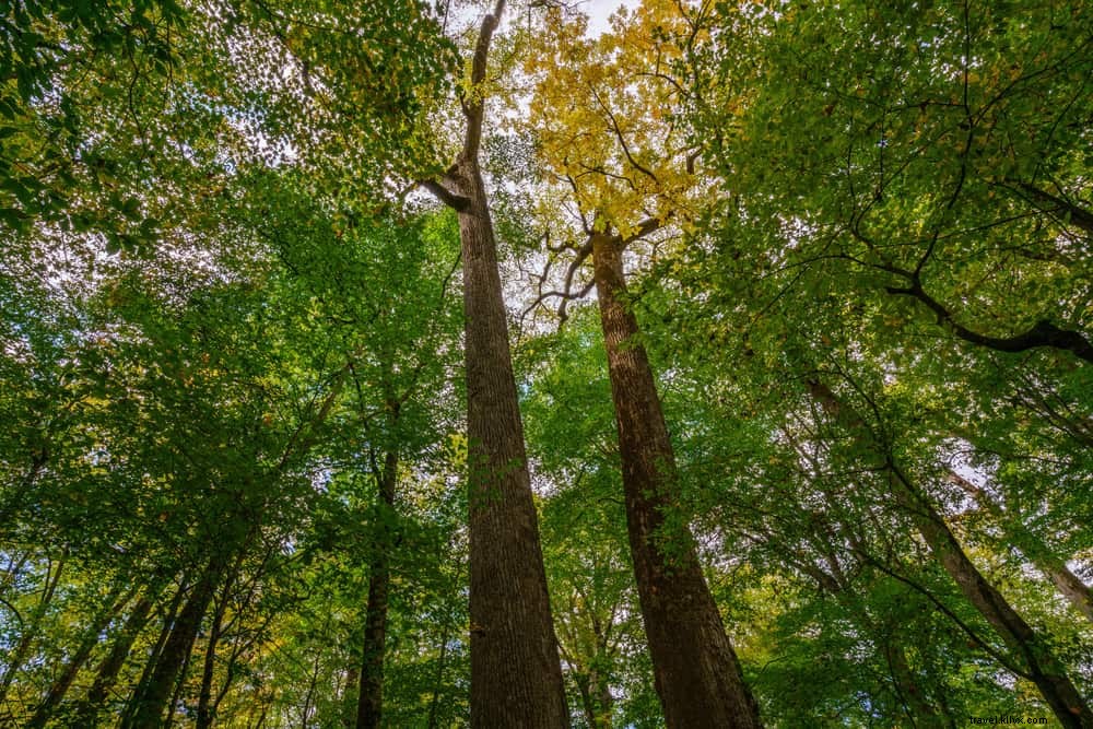 15 Most Beautiful Places to Visit in North Carolina