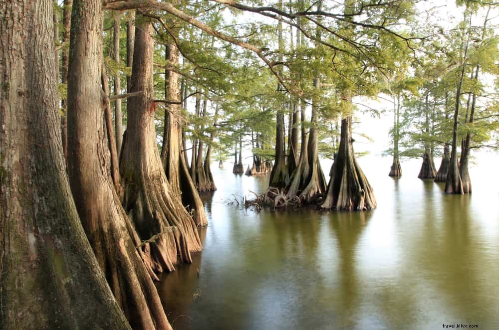 14 Most Beautiful Places to Visit in Louisiana