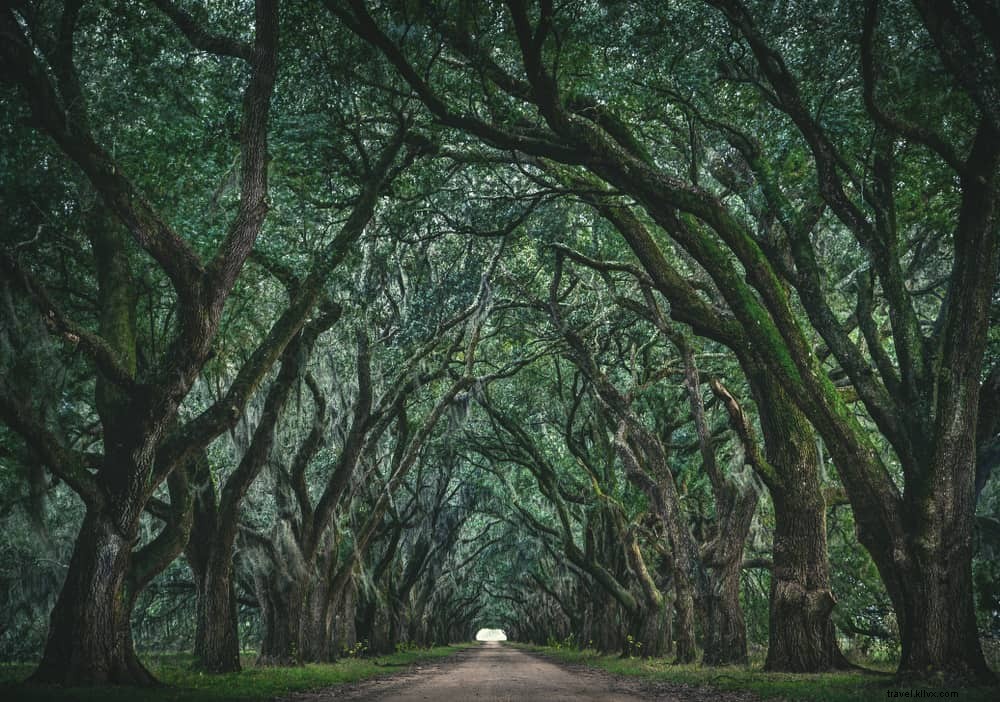 14 Most Beautiful Places to Visit in Louisiana