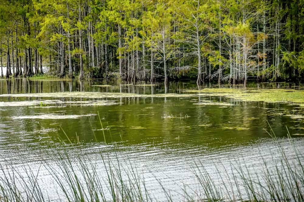 14 Most Beautiful Places to Visit in Louisiana