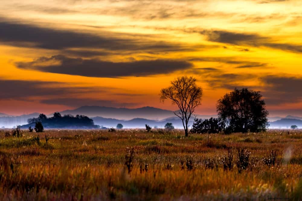 15 Stunning Places to Visit in Kansas: Discover the Sunflower State s Hidden Gems