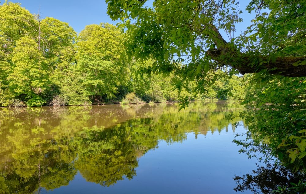 Top 15 Most Beautiful Places to Visit in Cheshire: Historic Gems and Scenic Wonders