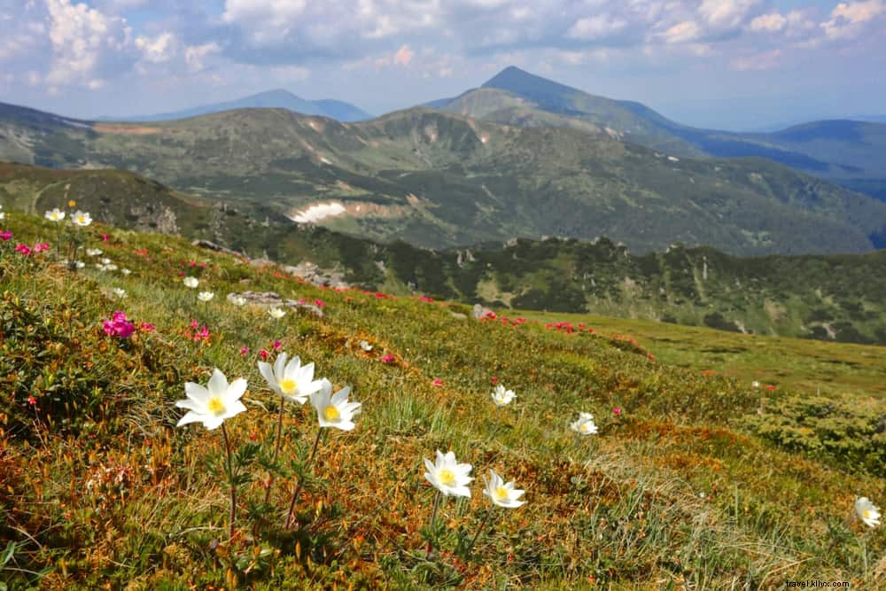 15 Stunning Places to Visit in Ukraine: Hidden Gems and Must-Sees from a Local Expert