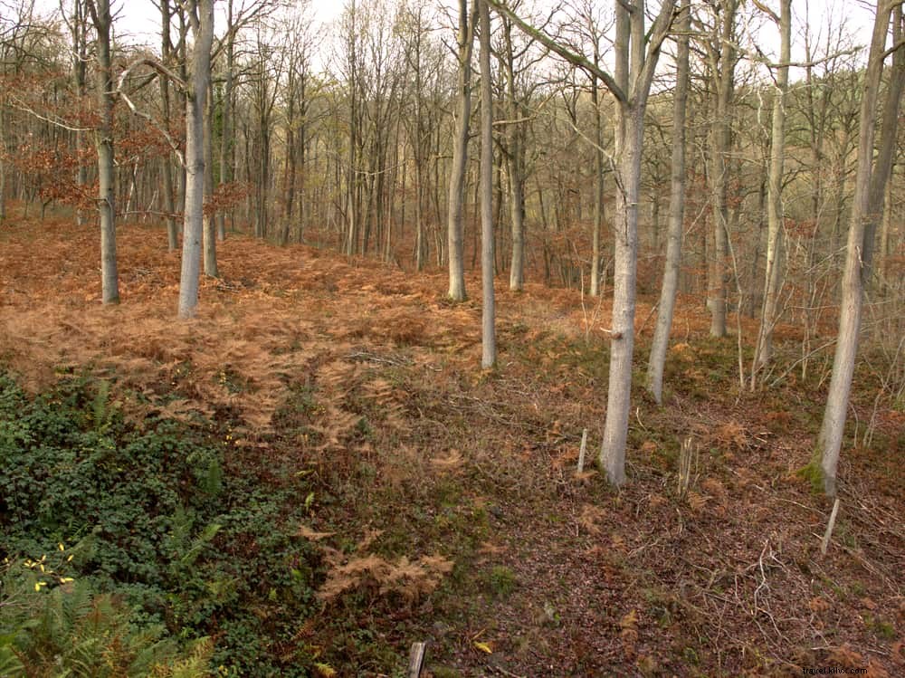 15 Stunning Places to Visit in Worcestershire: A Local s Guide