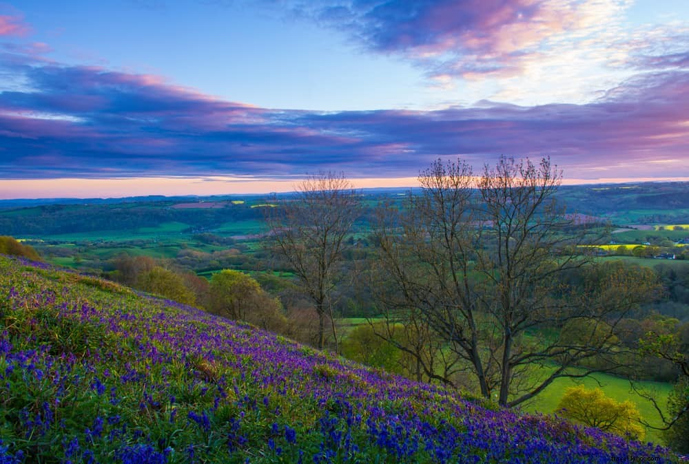 15 Stunning Places to Visit in Worcestershire: A Local s Guide