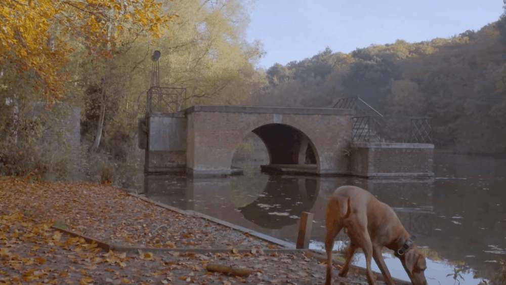 15 Stunning Places to Visit in Bedfordshire: A Local s Expert Guide