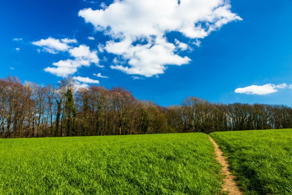 15 Stunning Places to Visit in Bedfordshire: A Local s Expert Guide