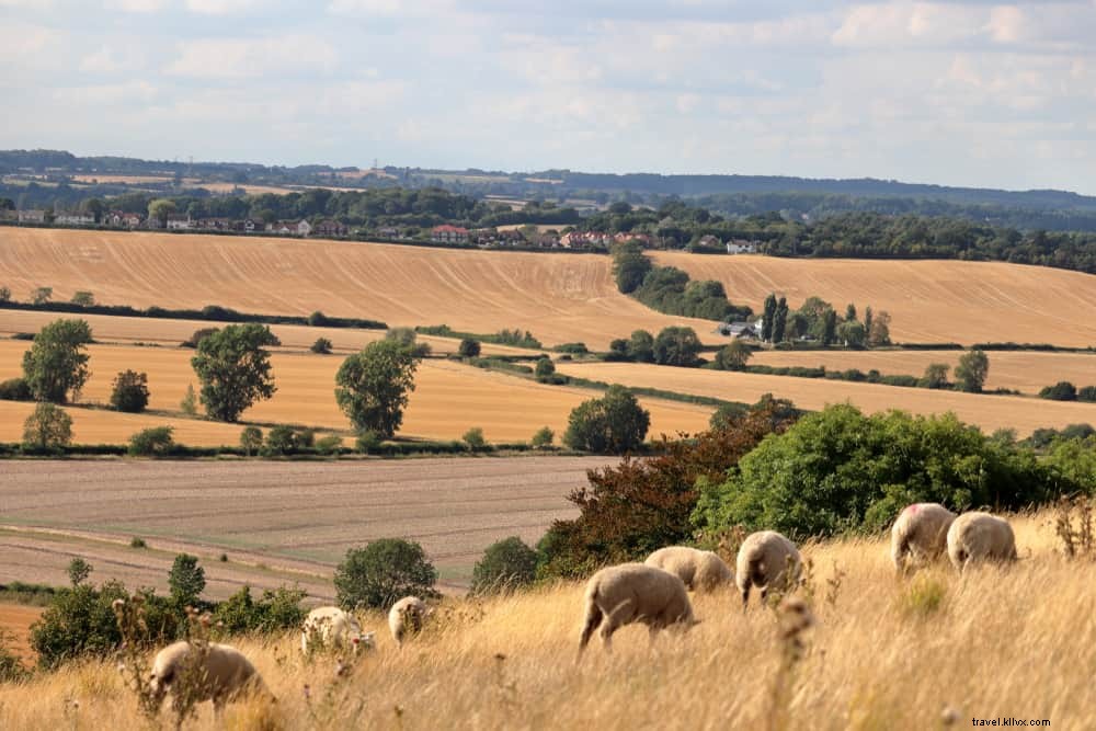 15 Stunning Places to Visit in Bedfordshire: A Local s Expert Guide
