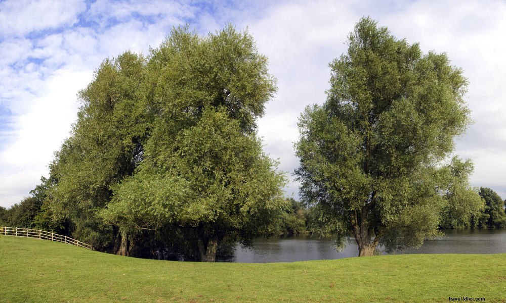 15 Stunning Places to Visit in Bedfordshire: A Local s Expert Guide