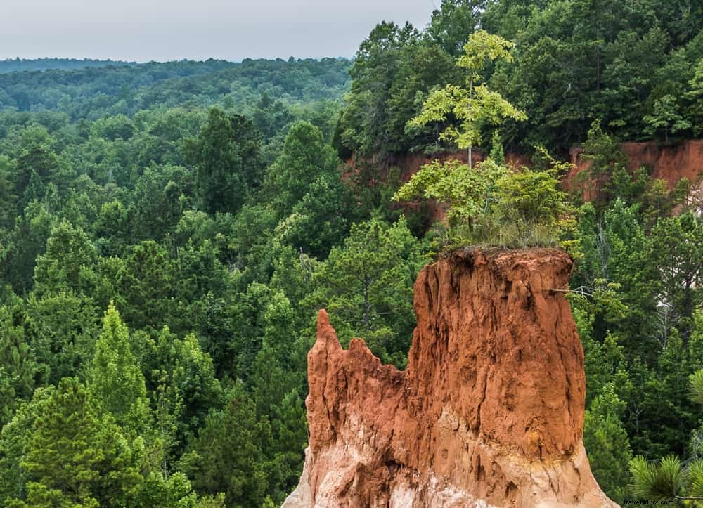 24 Most Beautiful Places to Visit in Georgia: Scenic Wonders and Hidden Gems