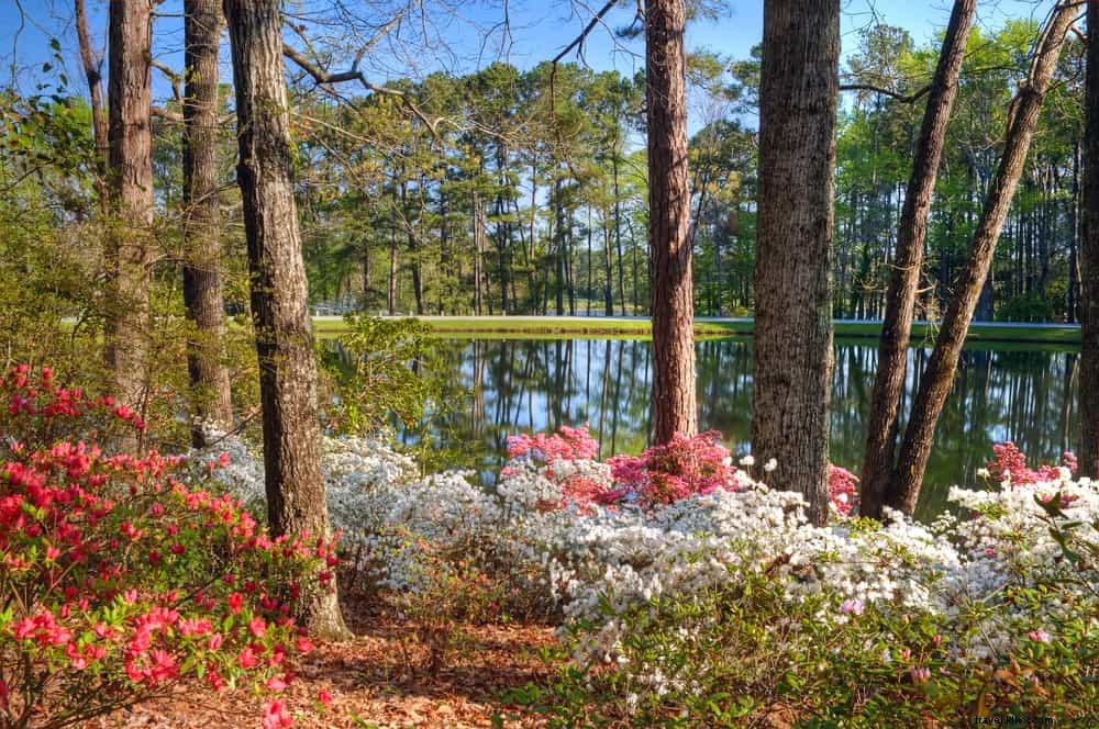 24 Most Beautiful Places to Visit in Georgia: Scenic Wonders and Hidden Gems