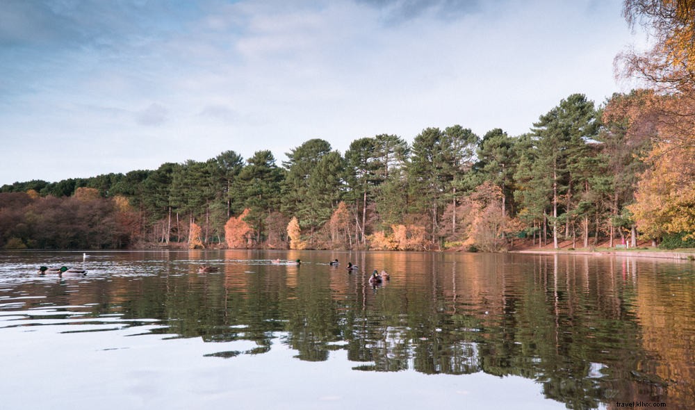 15 Stunning Places to Visit in the West Midlands: Hidden Gems Revealed