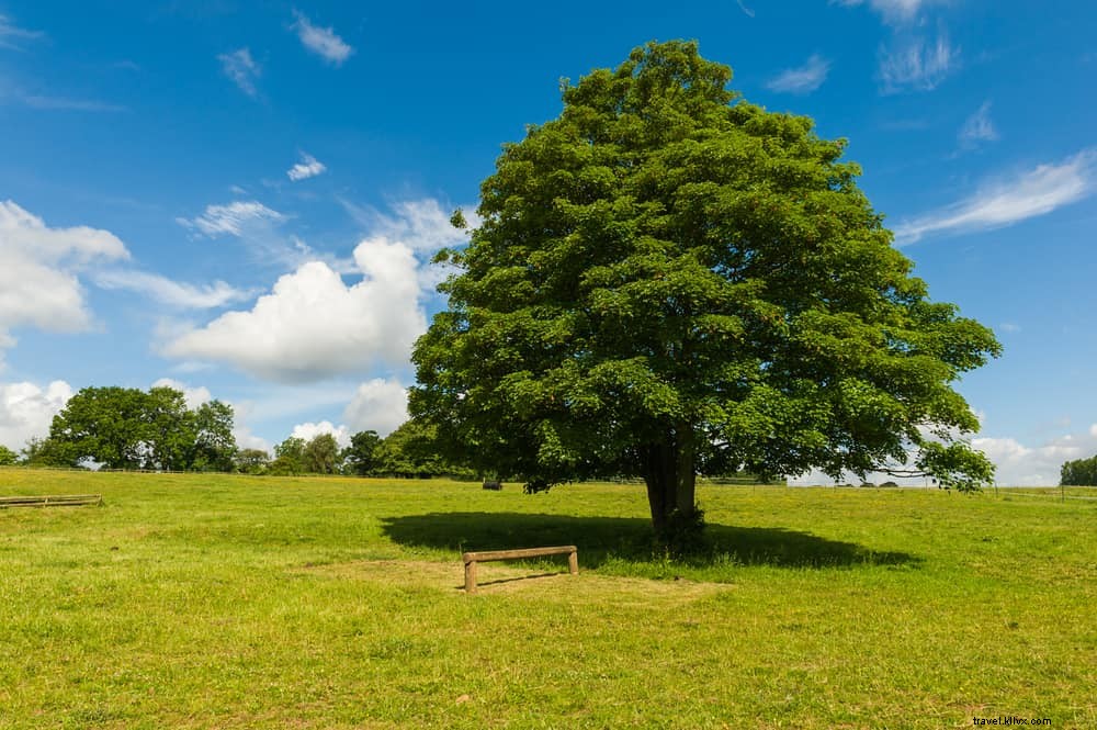 15 Stunning Places to Visit in the West Midlands: Hidden Gems Revealed