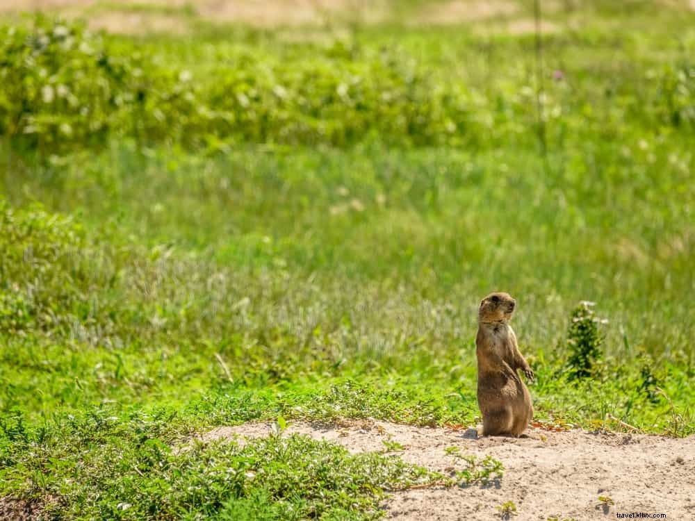 12 Most Beautiful Places to Visit in Nebraska: Hidden Gems and Natural Wonders