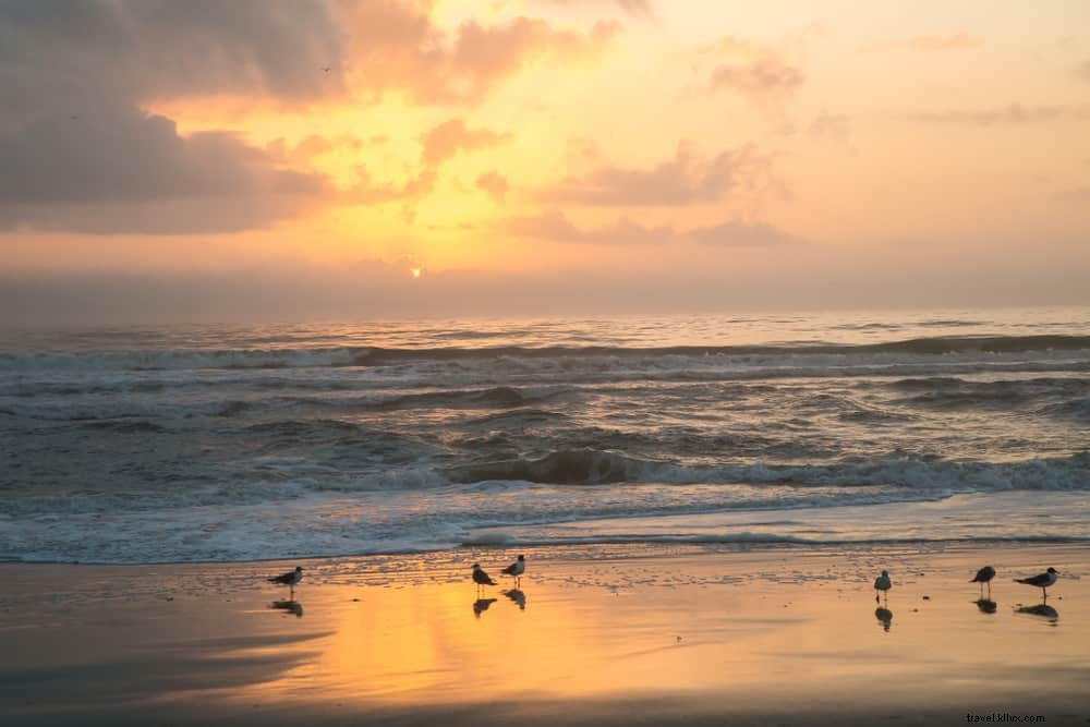 15 Most Beautiful Places to Visit in Florida: Beaches, Islands & Hidden Gems