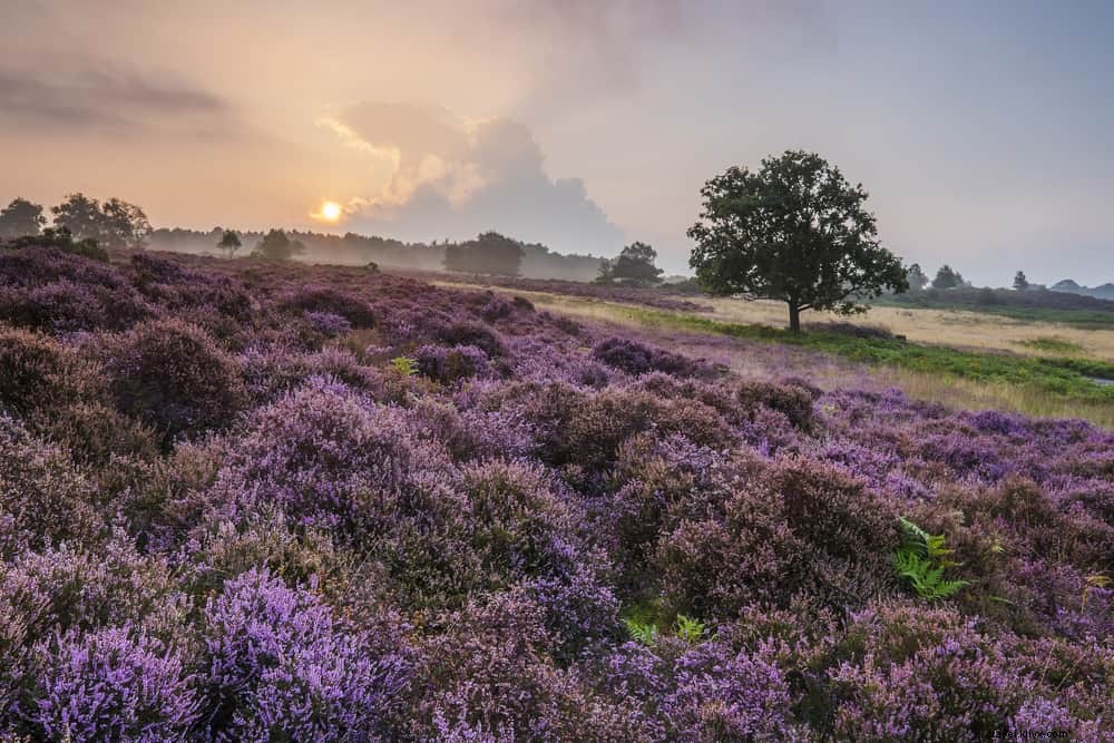 The 15 Most Beautiful Places to Visit in Suffolk, England