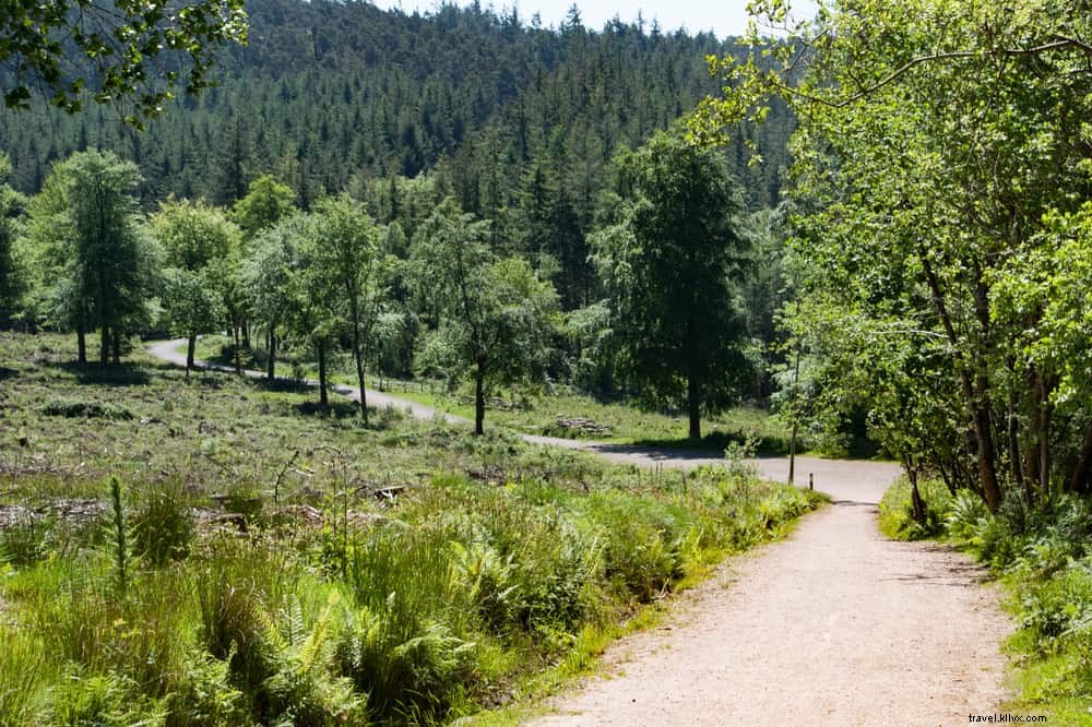 25 Most Beautiful Places to Visit in Devon, England