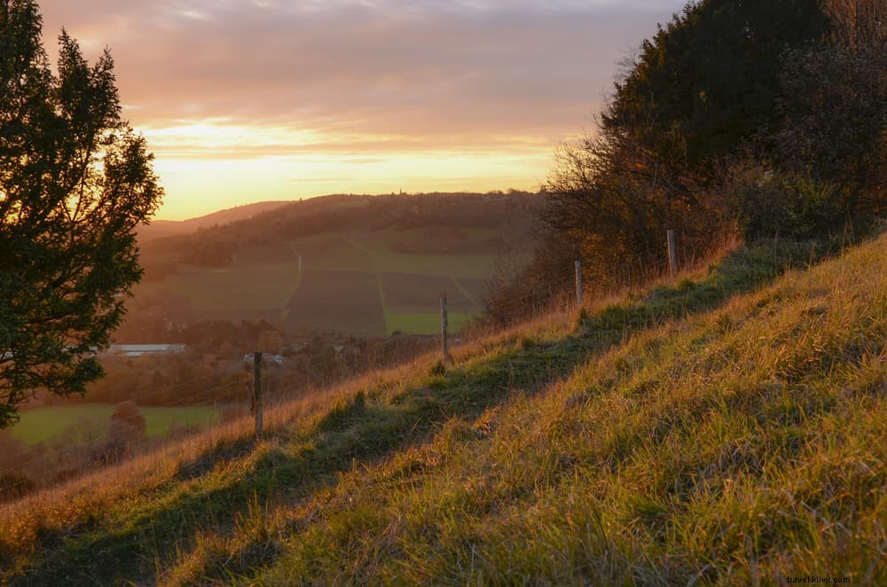 18 Most Beautiful Places to Visit in Surrey: Insider Guide from a Local Resident